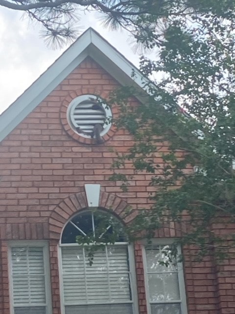 Squirrel removal service in Virginia